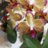 viktoryaflowers