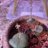 Светлана Красовицкая