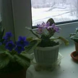 dsc00058