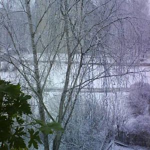 Майское утро
