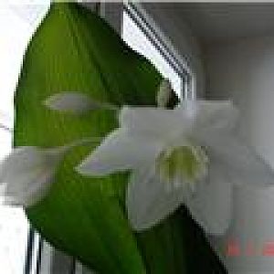 d3d00d5319eax
