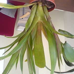 dsc00554