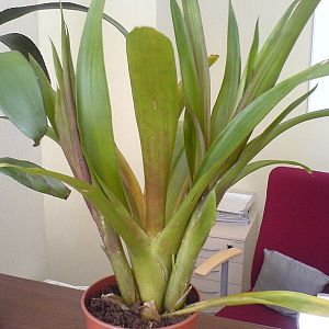 dsc00554