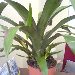 dsc00555