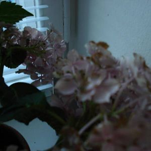 photos 125