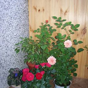 Мои фото