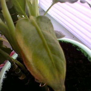photo-0114