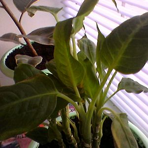 photo-0113