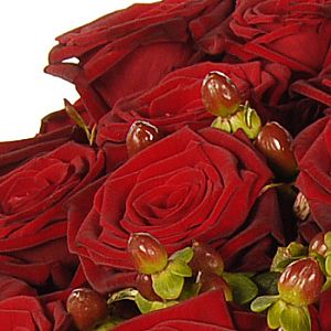 4366-luxury 100 grand prix red roses bouquet