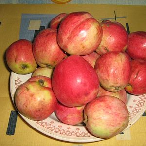 ЯБЛОЧКИ С ДАЧИ