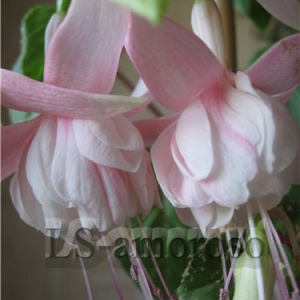 b8ad09d29574 копия