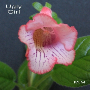 ugly girl