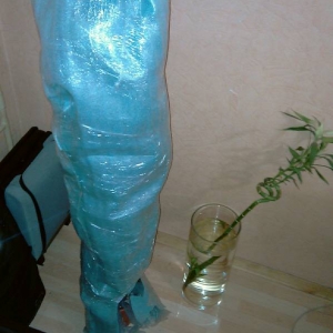 фикус