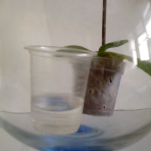 photo-0008