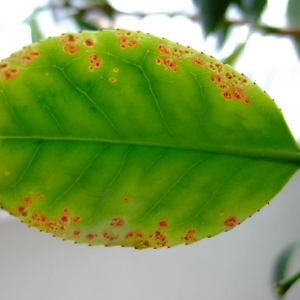 Безымянный2