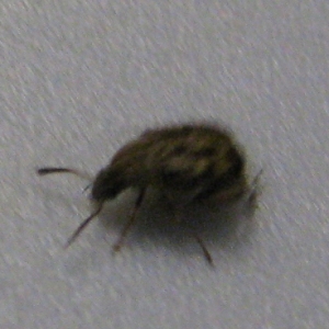 img 0380