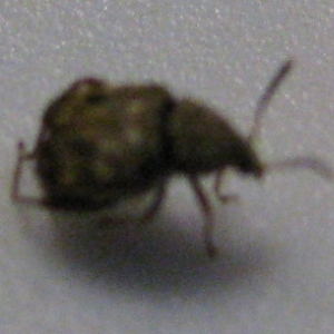 img 0382
