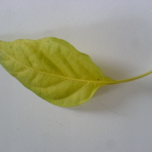 dsc01169