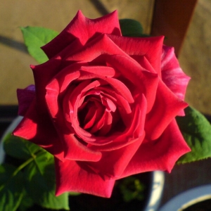 dsc01204