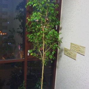dsc01238