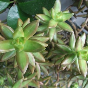 dscf2982