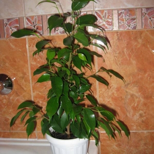 img 0794