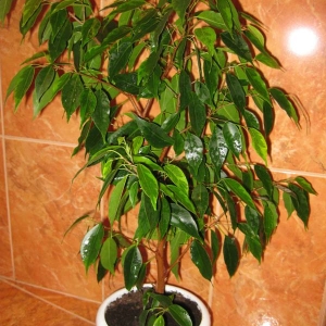 img 0795
