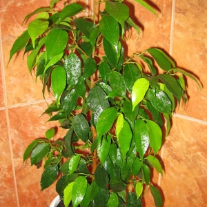 img 0798