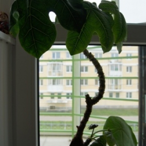 dsc01312