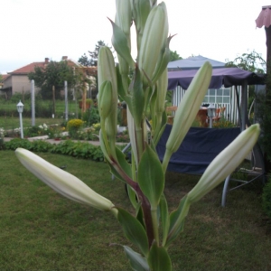 dscf1255