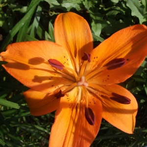dscf1353