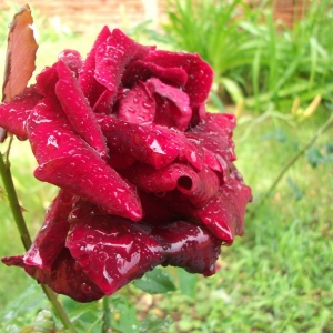 dscf1665