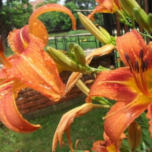 dscf1668