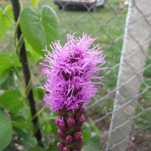 dscf1502