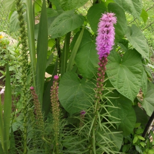 dscf1551