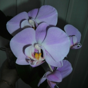 Изображение 013