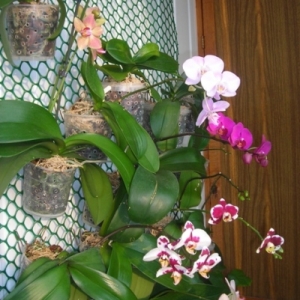 Изображение 016