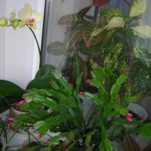 Изображение 017