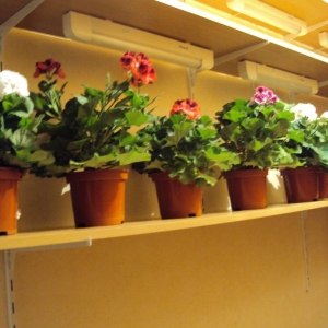 Изображение 042