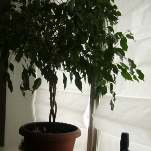 p1070038