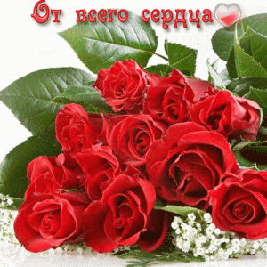 12641638158619479от всего сердца розы