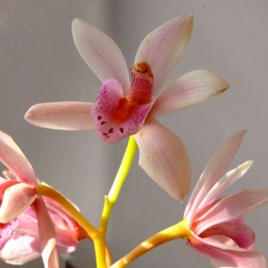 фото 3011-1