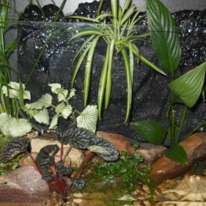 dscn1738