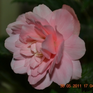 dsc 0714