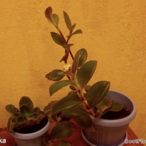 photo-0313