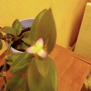 photo-0312