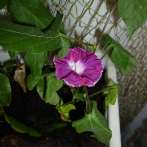 p1020831