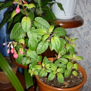 p1020848