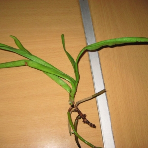 img 7798