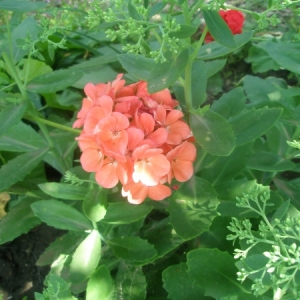 p7300123